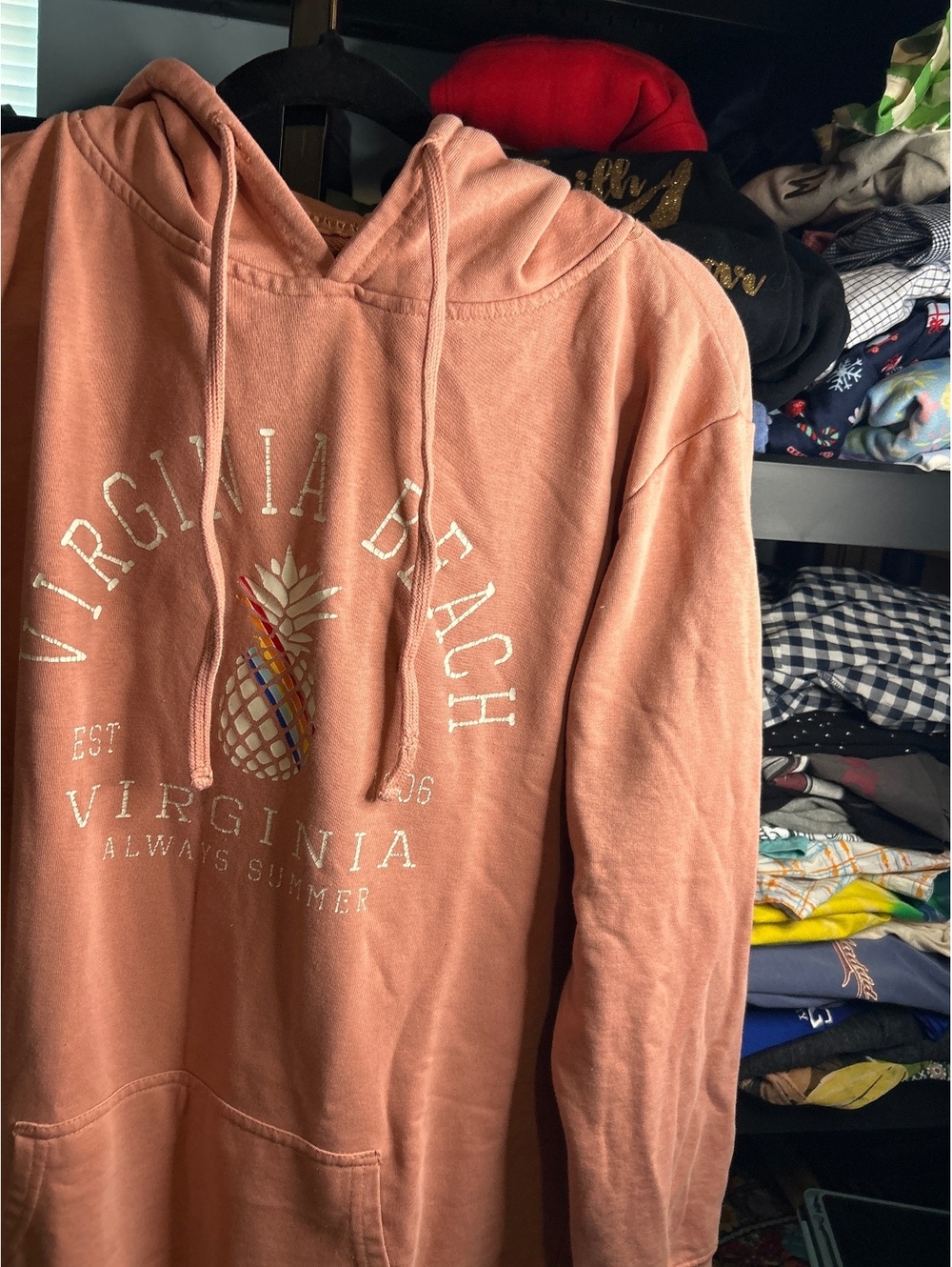 Pink Virginia Beach Hoodie Size 2xl